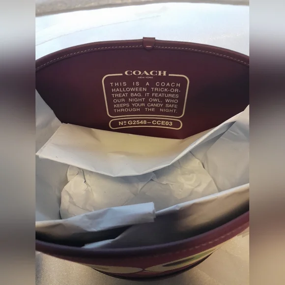 New Coach Owl Halloween Bucket Bag With Silky Dust Cover  NWT - Picture 8 of 12